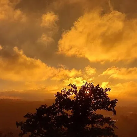 Wulf Apartamento Schmallenberg