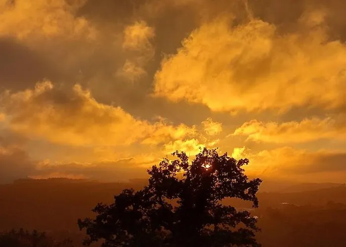 Wulf Appartement Schmallenberg